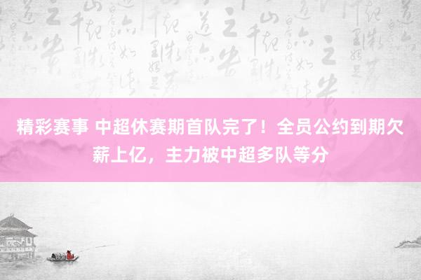 精彩赛事 中超休赛期首队完了！全员公约到期欠薪上亿，主力被中超多队等分